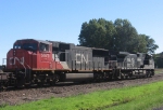 CN 5675